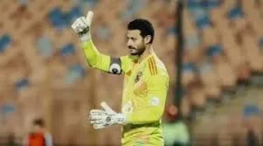 الشناوي