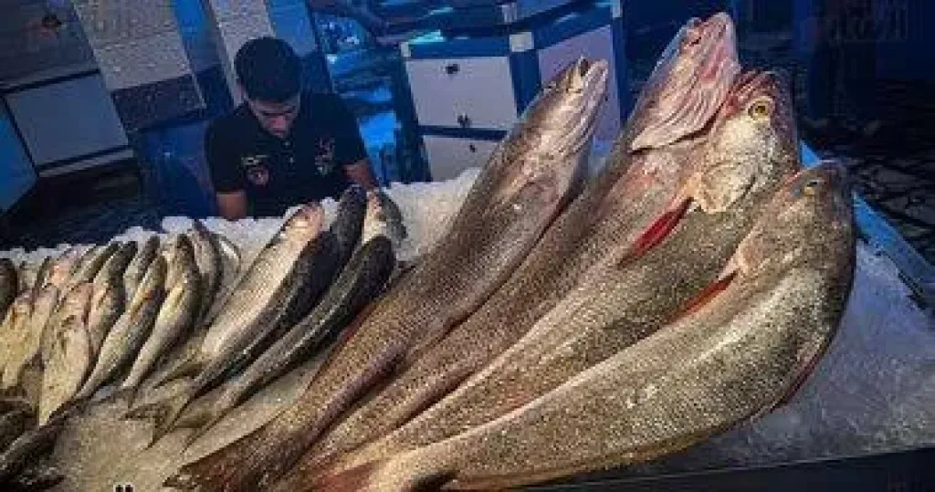 اسعار السمك