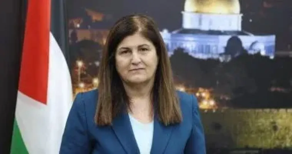  فارسين شاهين 