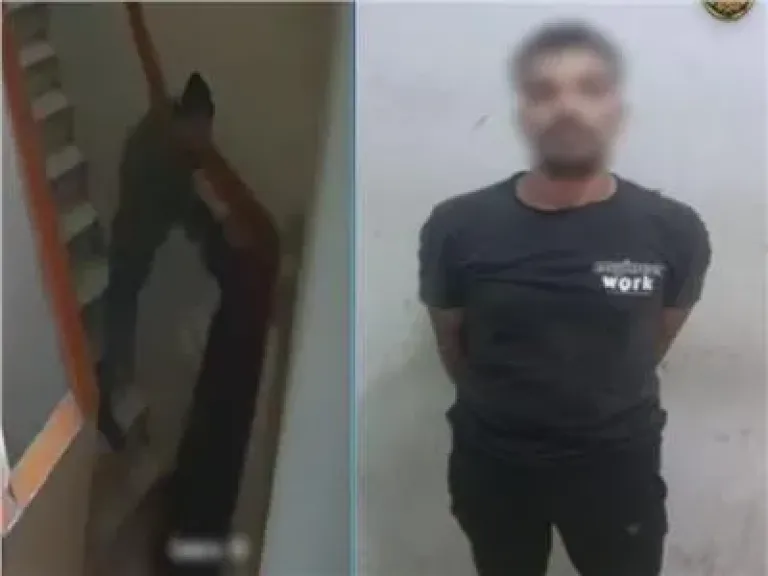 المتهم 