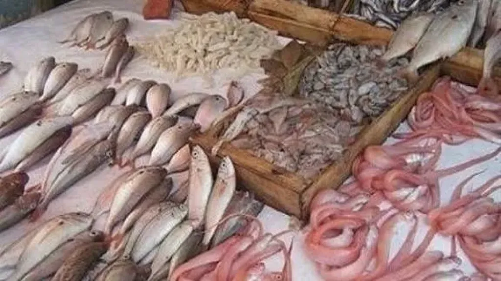 سعر السمك اليوم