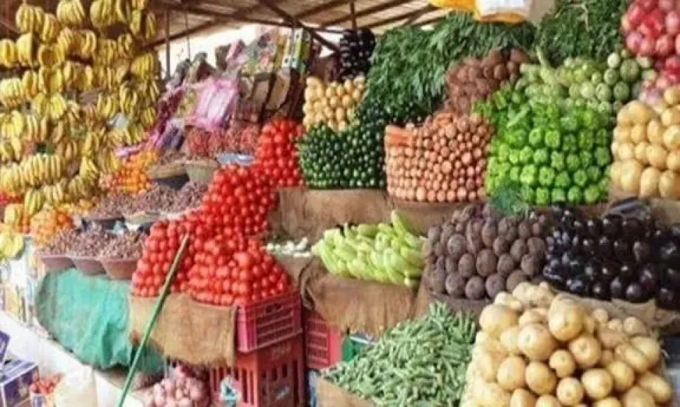 اسعار الخضار