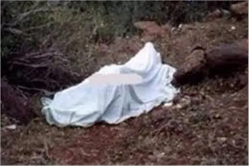 ارشيفية