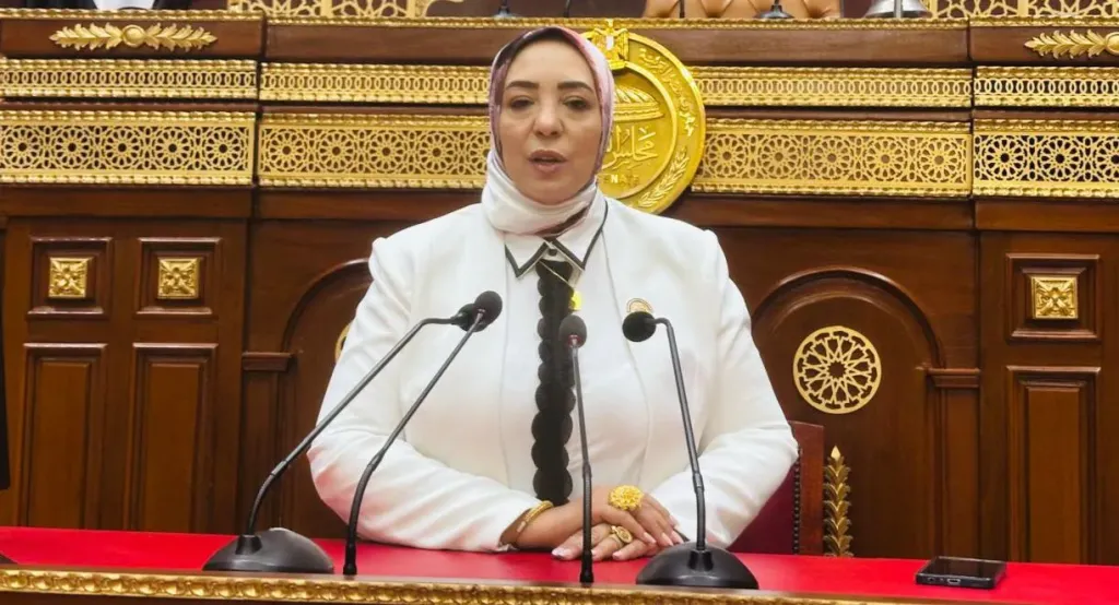 وفاء رشاد عضو مجلس الشيوخ