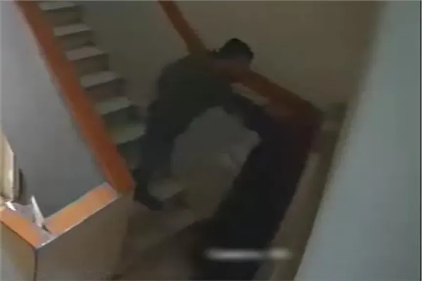 موضوعية