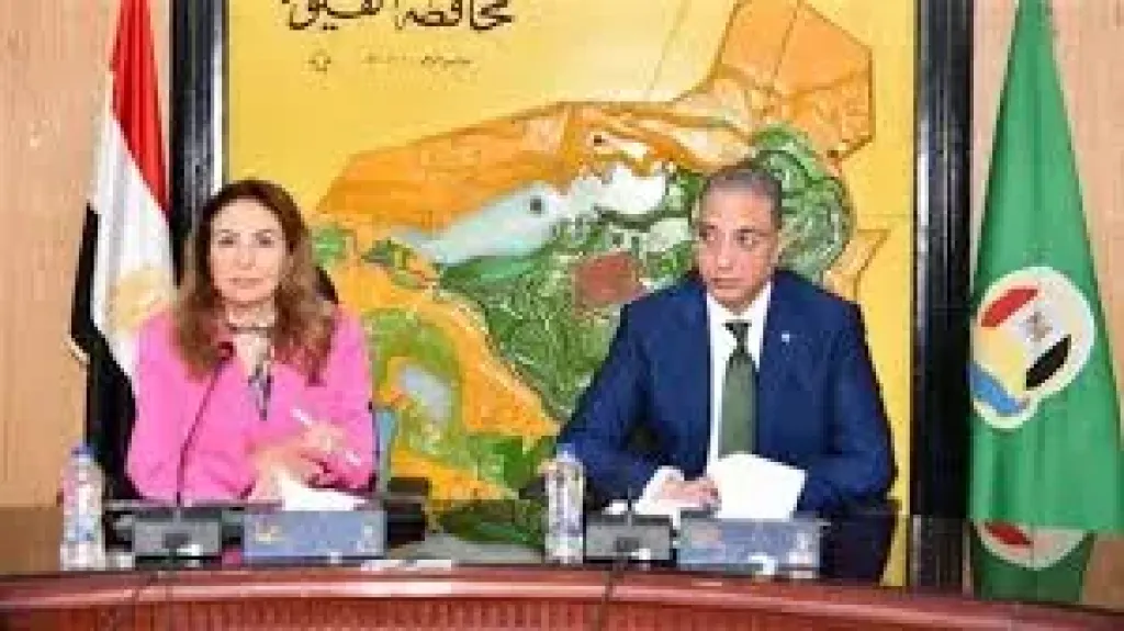 محافظ الفيوم يلتقى نائب وزير الاتصالات