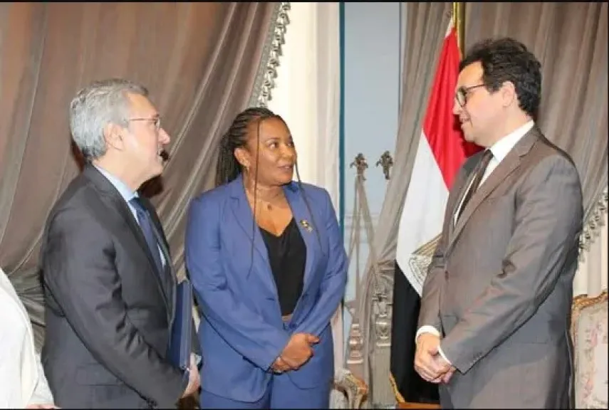 جانب من اللقاء 