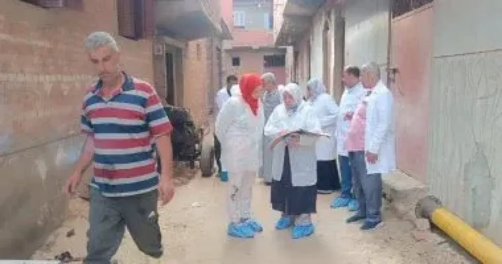 جانب من الحملات 