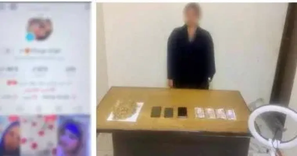 ضبط صانعة محتوى نشرت مقاطع راقصة خادشة للحياء لتحقيق أرباح
