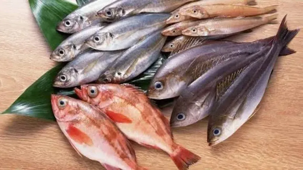 سعر السمك