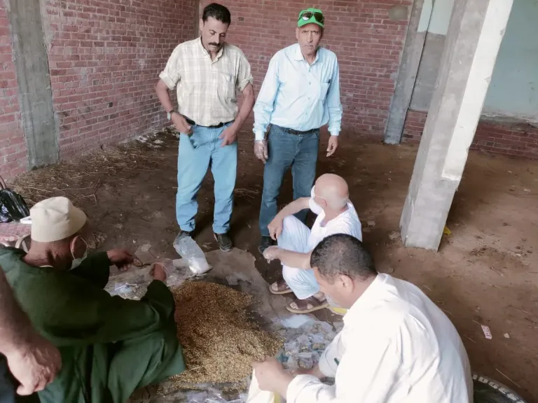 مكافحة القوارض 