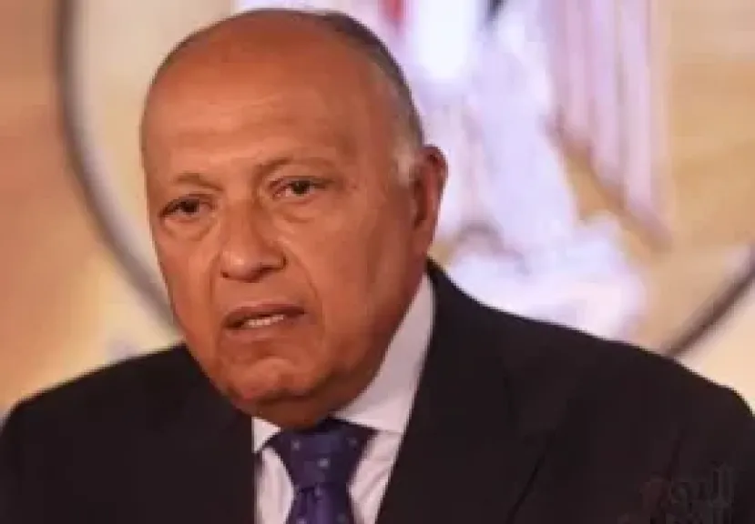 سامح شكري 