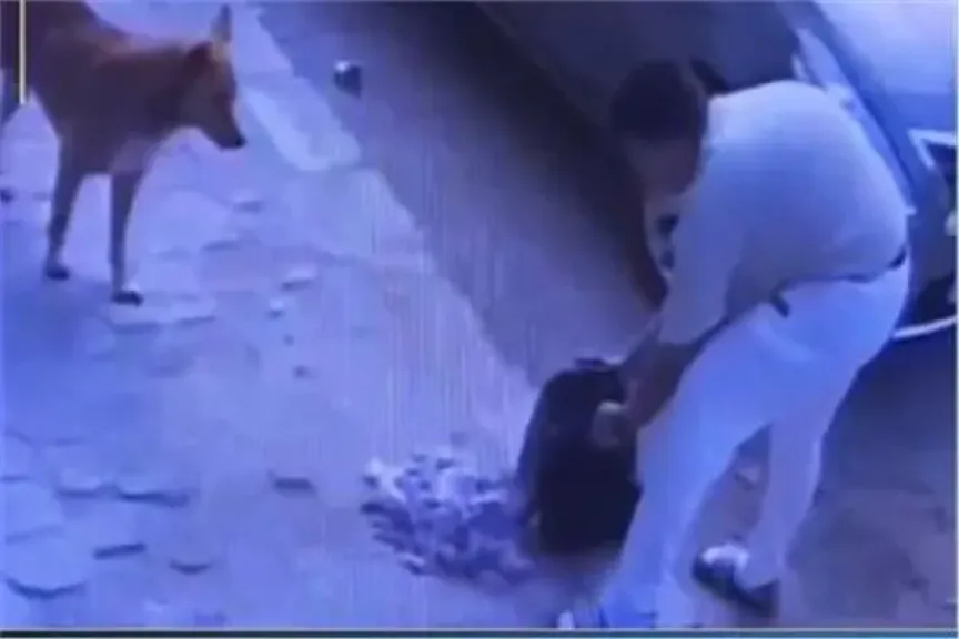 تسمم كلاب