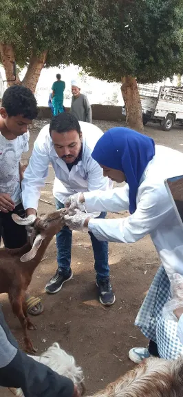 جانب من متابعه 