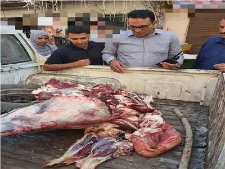 جانب من المضبوطات