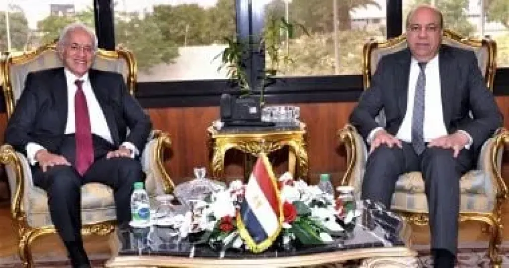 جانب من اللقاء 