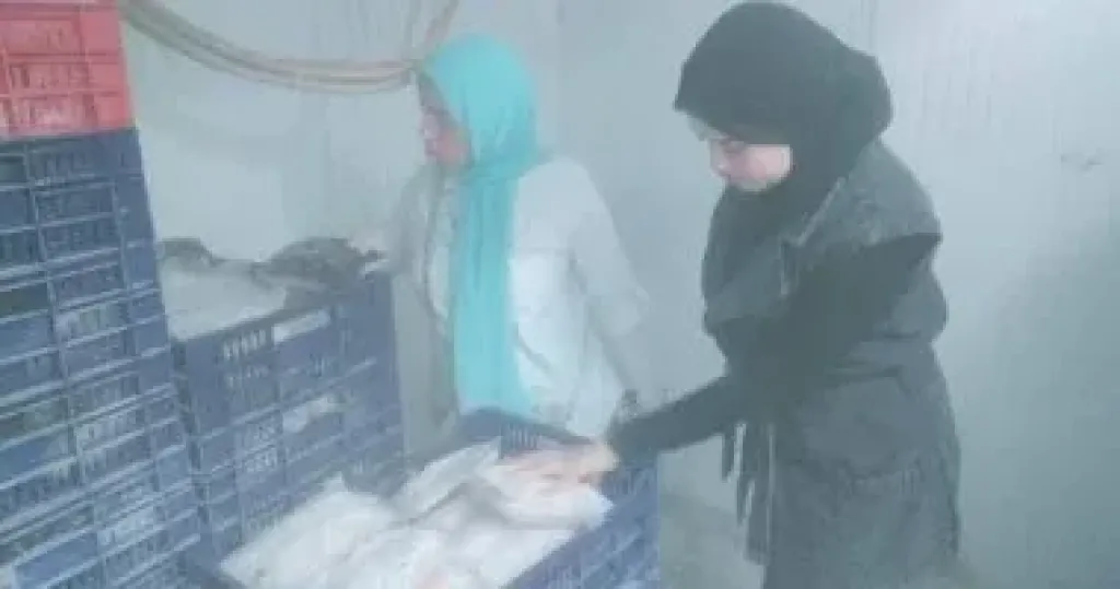 جانب من الحملات 