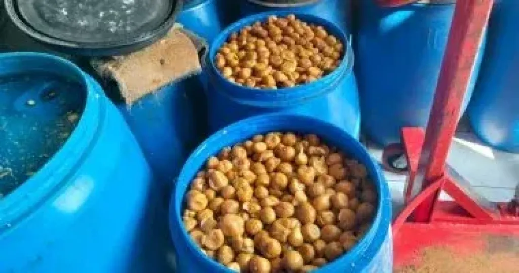 المضبوطات 