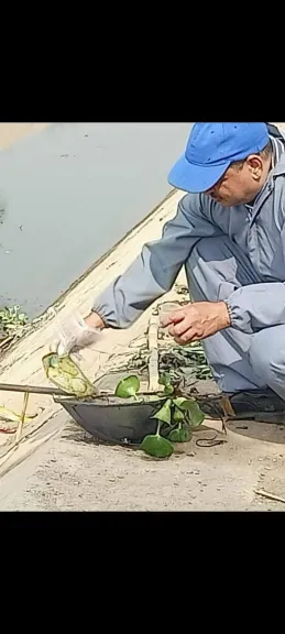 فحص المجاري المائية بإهناسيا