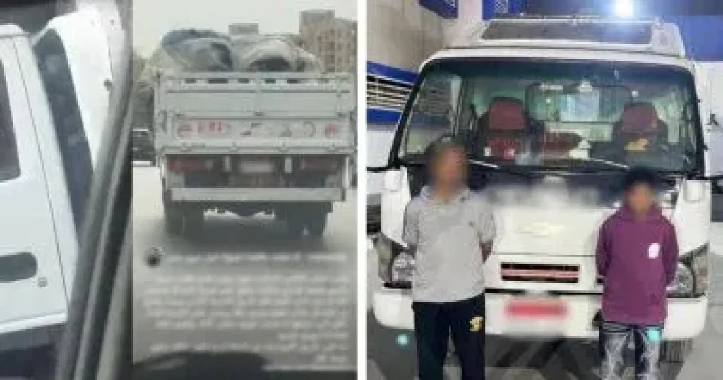 طفل يقود سيارة نصف نقل بالقاهرة