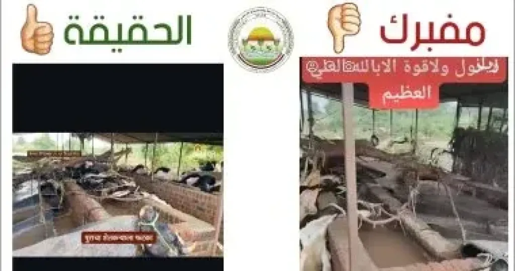 وزارة الزراعة تنفي صحة فيديو حالات نفوق الماشية