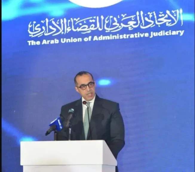 المستشار محمود فوزي وزير الشئون النيابية القانونية والتواصل السياسي