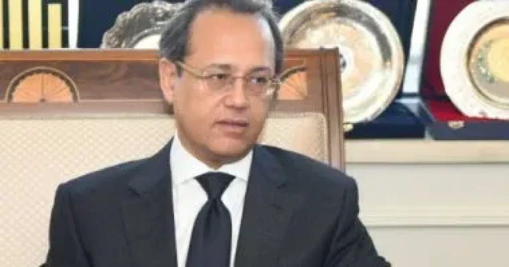 السفير هاني ناجي