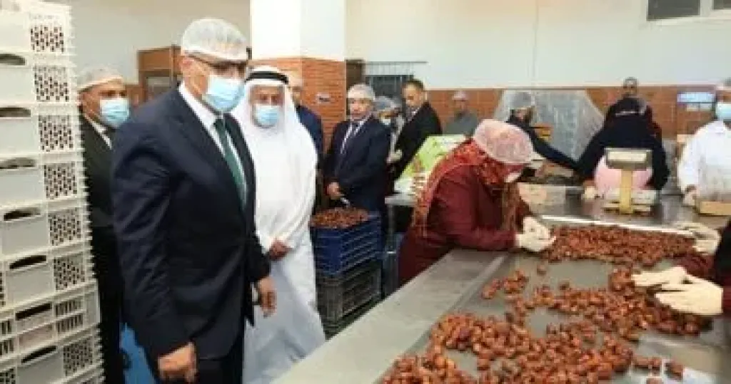 محافظ الجيزة 