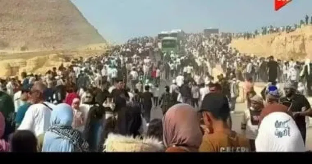 زوار المتحف 