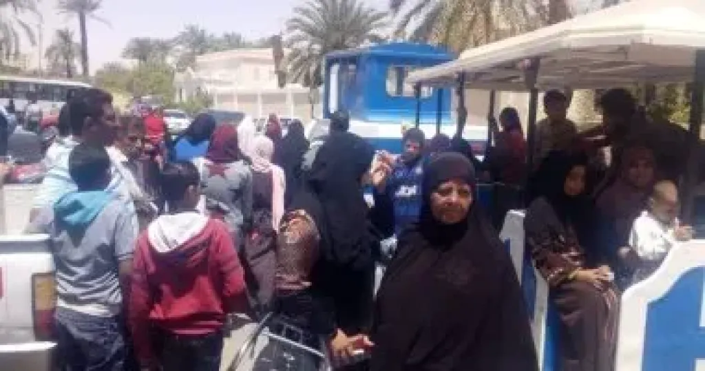 لجان الانتخابات 