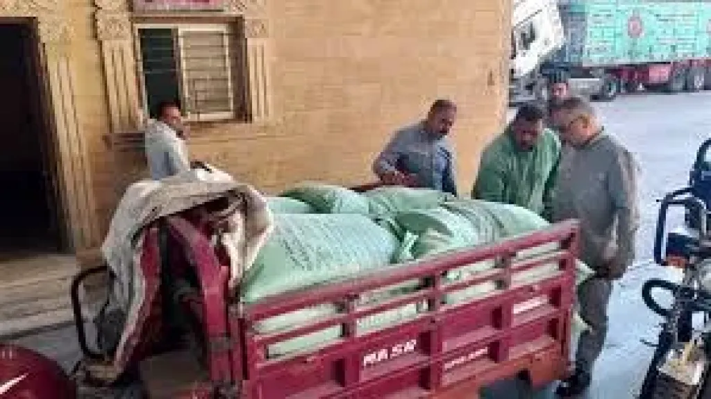 حملات تموينيه بالدقهليه