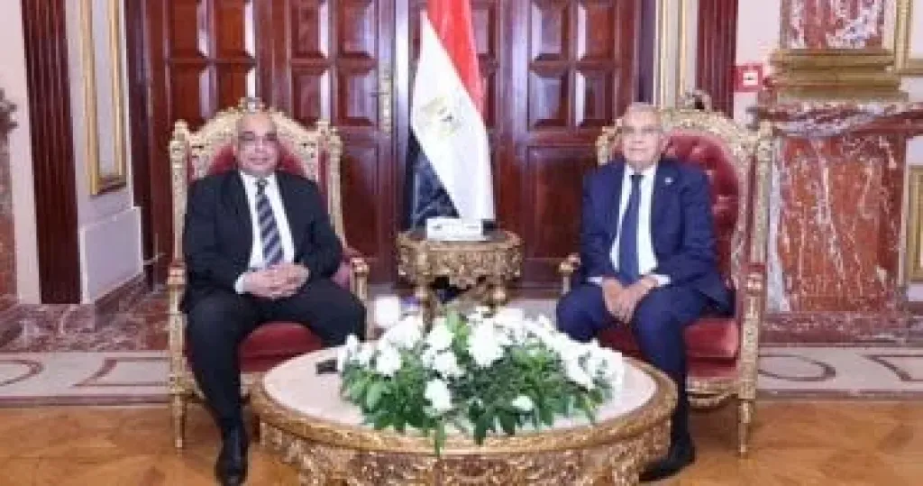 جانب من اللقاء 