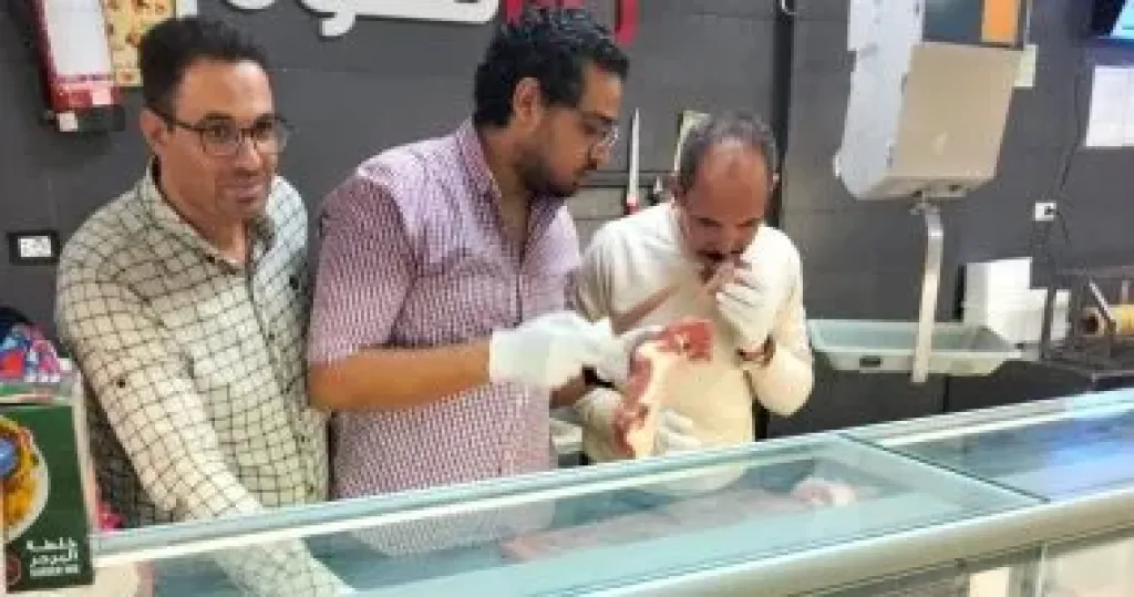 جانب من الحملات 