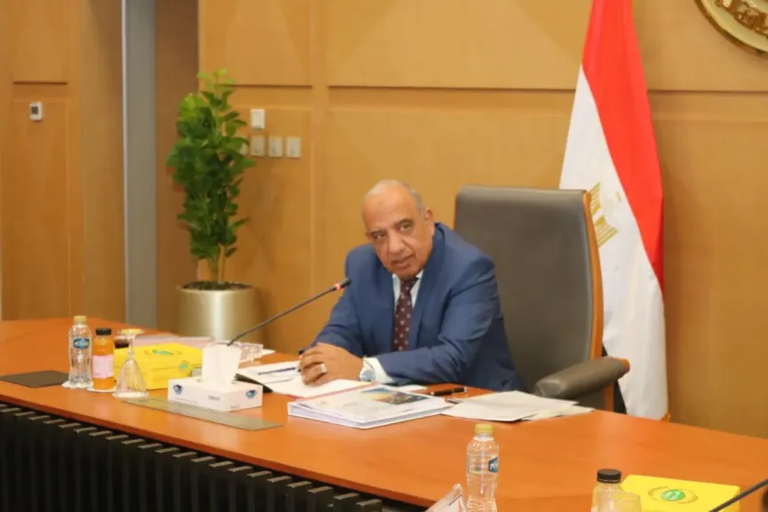 الدكتور محمود عصمت وزير الكهرباء والطاقة المتجددة