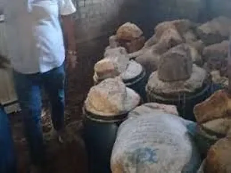 الضبطية