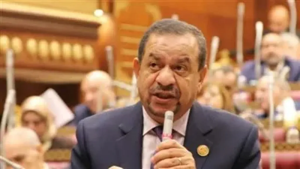 المهندس عبد السلام الجبلي، الأمين المساعد لحزب مستقبل وطن بالدقهلية