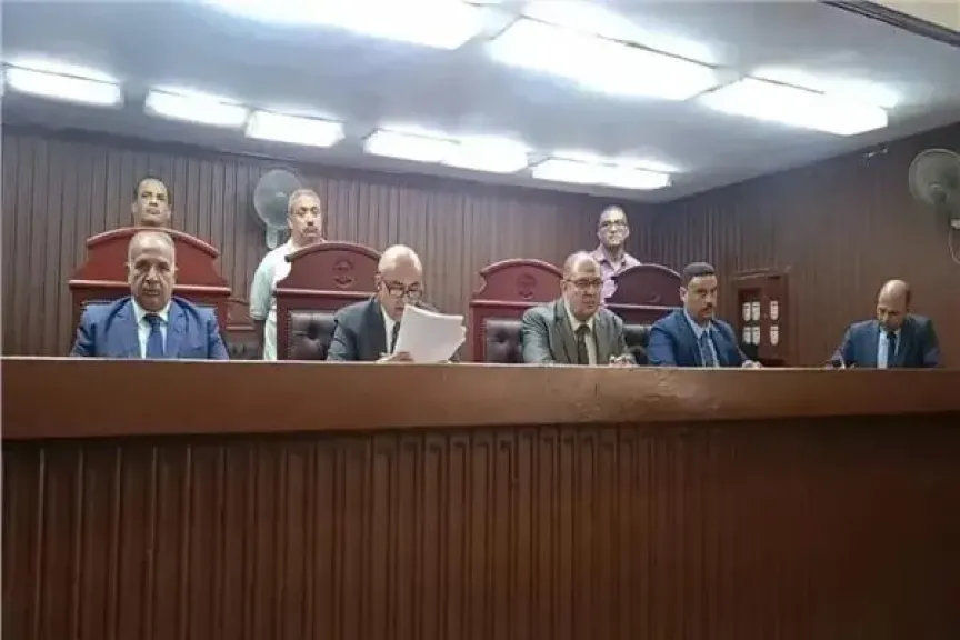 هيئة المحكمة برئاسة المستشار أيمن عفيفى سالم