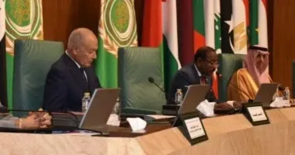معاناة الشعب الفلسطيني تمثل جرحا مفتوحا فى الضمير الإنسانى