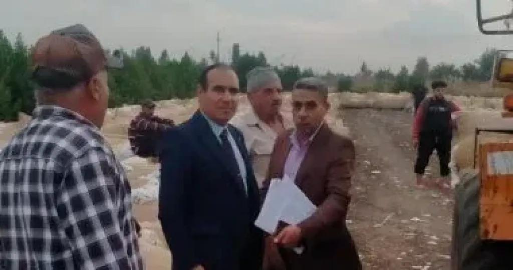 جانب من الحملات 
