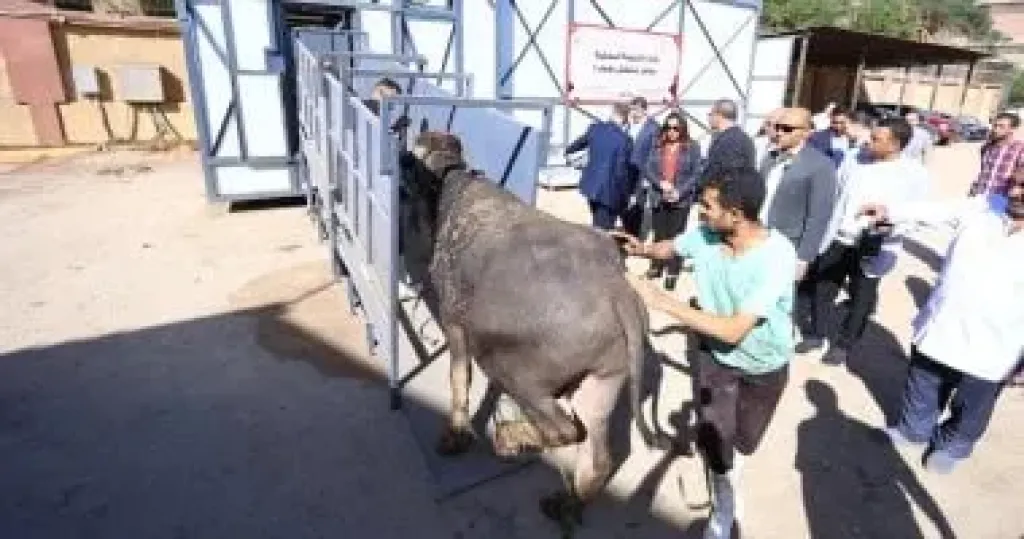 وزيرة التنمية المحلية خلال افتتاح أول مجزر متنقل صناعة محلية بالكامل