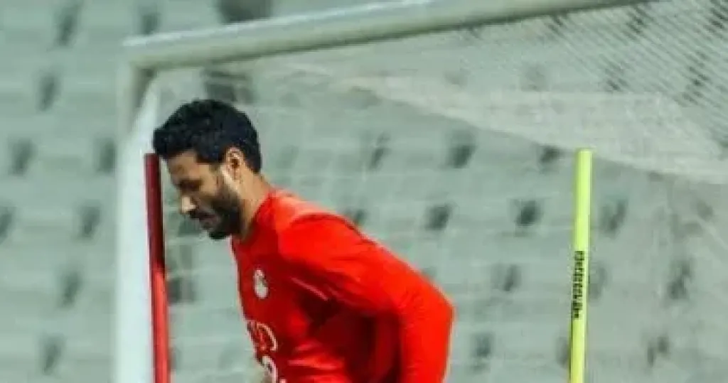 محمد الشناوى  
