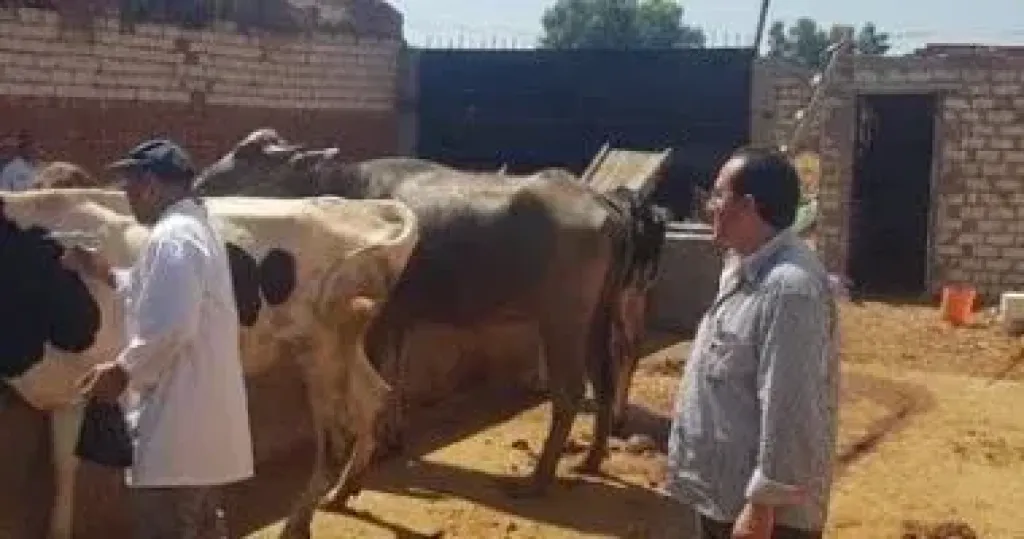 الثروة الحيوانية