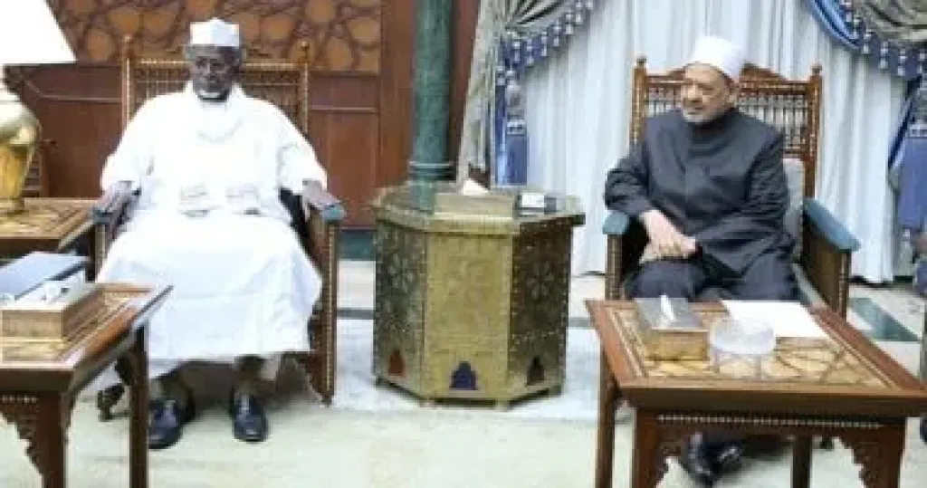جانب من اللقاء 