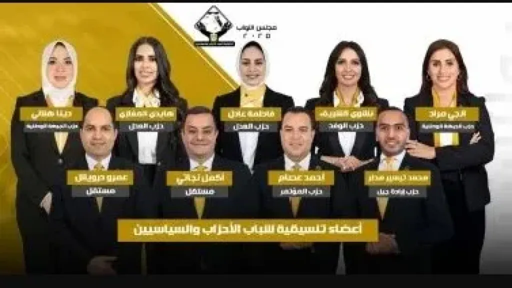 نواب تنسيقية شباب الأحزاب والسياسيين