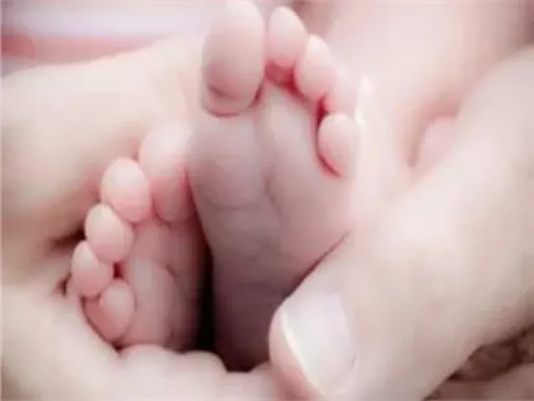 موضوعية