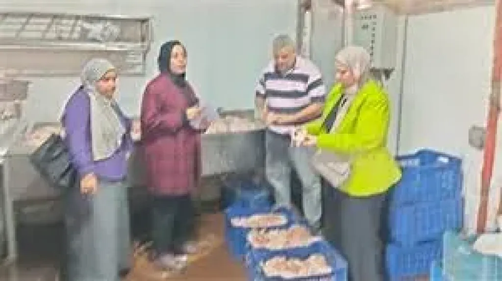 مصبوطات