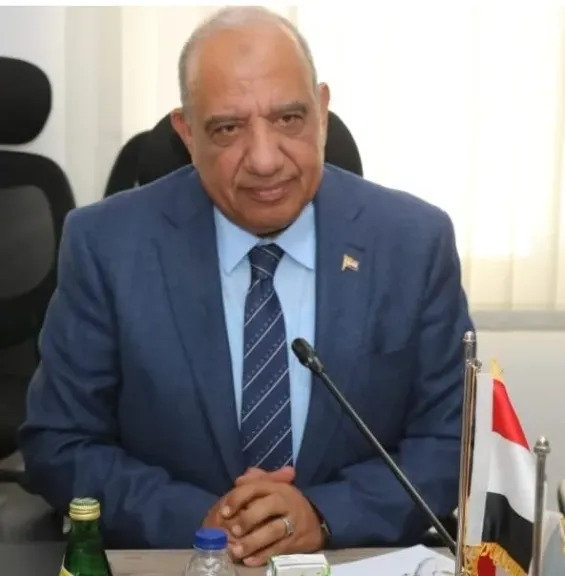 الدكتور محمود عصمت وزير الكهرباء والطاقة المتجددة