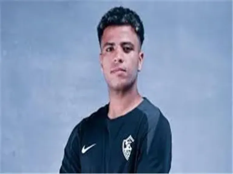 احمد ربيع