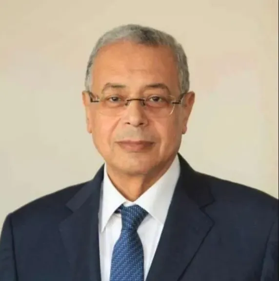 نبيل خشبة