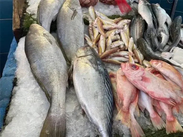 سعر السمك
